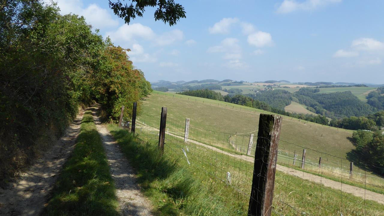 Geniesserpension Dopler - Zur Schonen Au Bad Schönau Exteriör bild