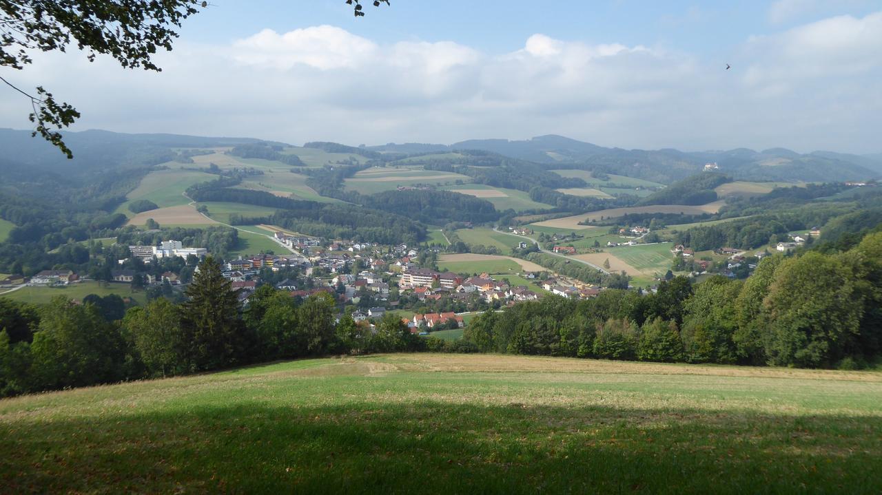 Geniesserpension Dopler - Zur Schonen Au Bad Schönau Exteriör bild